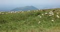 2014-07-23, Puy-de-Dome - 8014-web